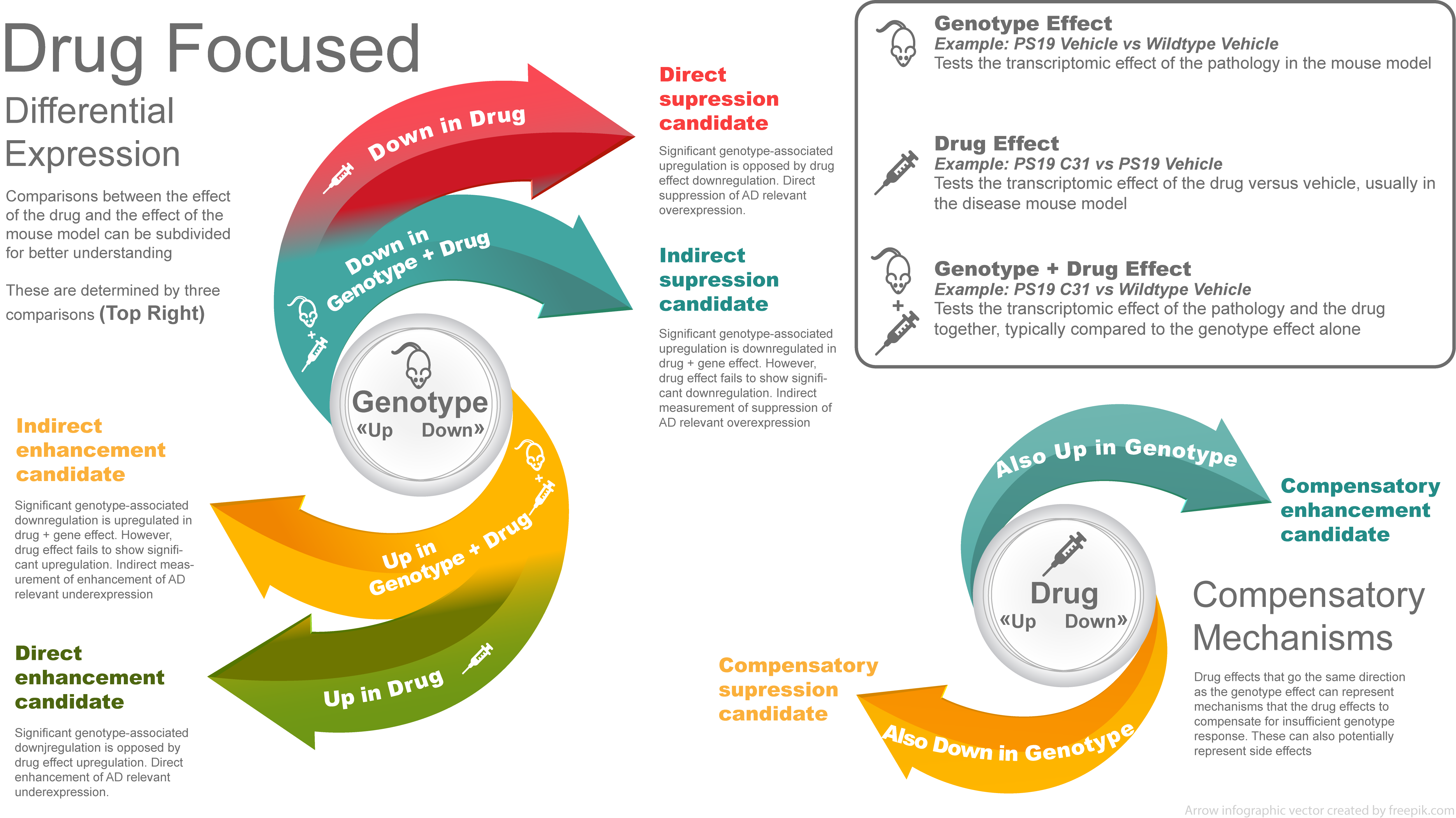 Schematic of Drug/Disease Effects